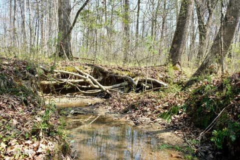 Tiny photo for 3578 Wolf Creek Rd, Spring City, TN 37381 (MLS # 1342031)