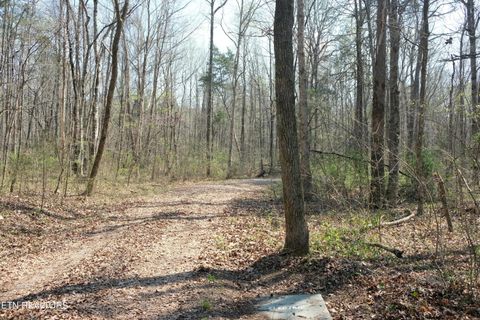 Tiny photo for 3578 Wolf Creek Rd, Spring City, TN 37381 (MLS # 1342031)