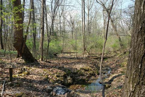 Tiny photo for 3578 Wolf Creek Rd, Spring City, TN 37381 (MLS # 1342031)