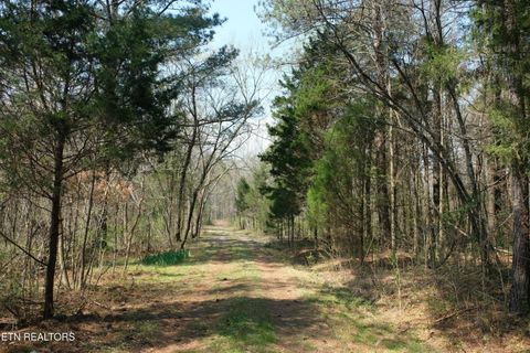Tiny photo for 3578 Wolf Creek Rd, Spring City, TN 37381 (MLS # 1342031)