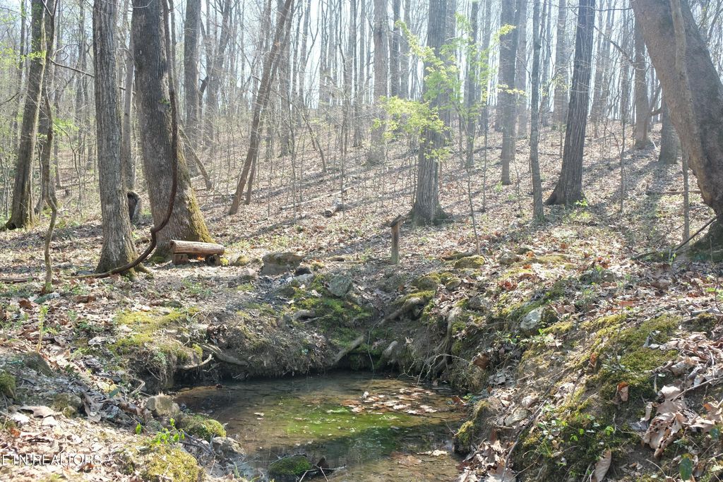 Photo of 3578 Wolf Creek Rd, Spring City, TN 37381 (MLS # 1342031)