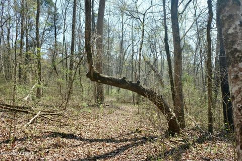 Tiny photo for 3578 Wolf Creek Rd, Spring City, TN 37381 (MLS # 1342031)