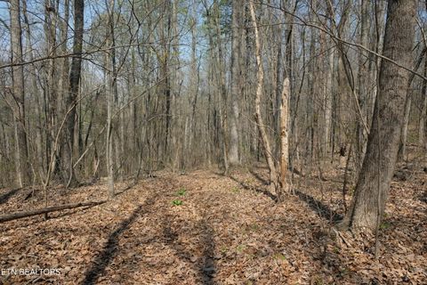 Tiny photo for 3578 Wolf Creek Rd, Spring City, TN 37381 (MLS # 1342031)