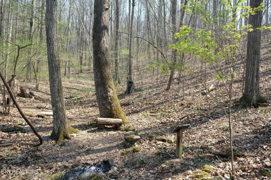 Photo of 3578 Wolf Creek Rd, Spring City, TN 37381 (MLS # 1342031)