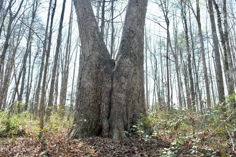 Tiny photo for 3578 Wolf Creek Rd, Spring City, TN 37381 (MLS # 1342031)