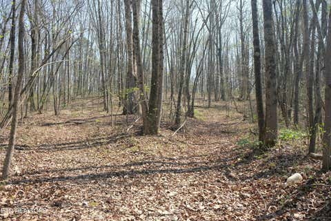 Tiny photo for 3578 Wolf Creek Rd, Spring City, TN 37381 (MLS # 1342031)