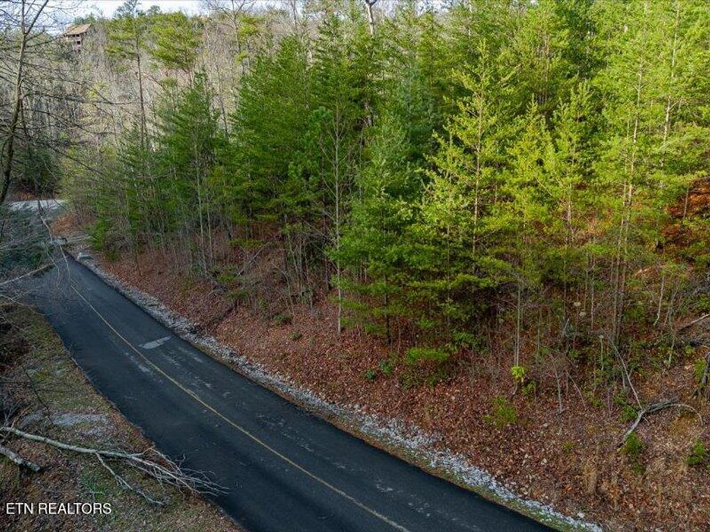 Photo of 50 Harvest Moon Rd, Sevierville, TN 37862 (MLS # 1290529)