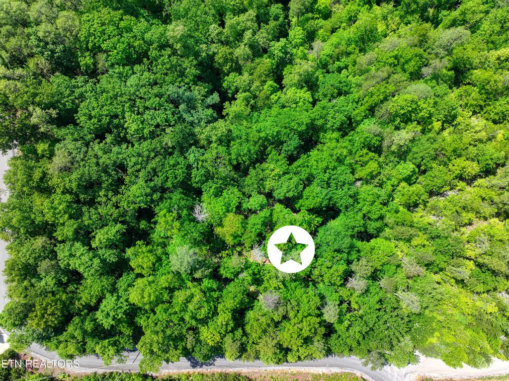 Photo of Mountain Dreams Way, Sevierville, TN 37876 (MLS # 1301370)