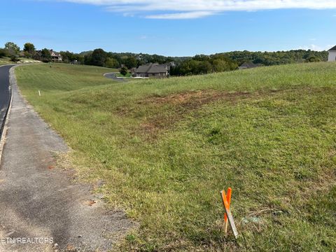 Tiny photo for 170 Starling Drive, Vonore, TN 37885 (MLS # 1327925)