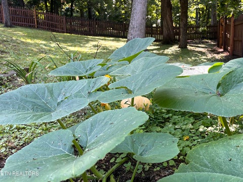 Tiny photo for 104 Clark Lane, Oak Ridge, TN 37830 (MLS # 1351896)
