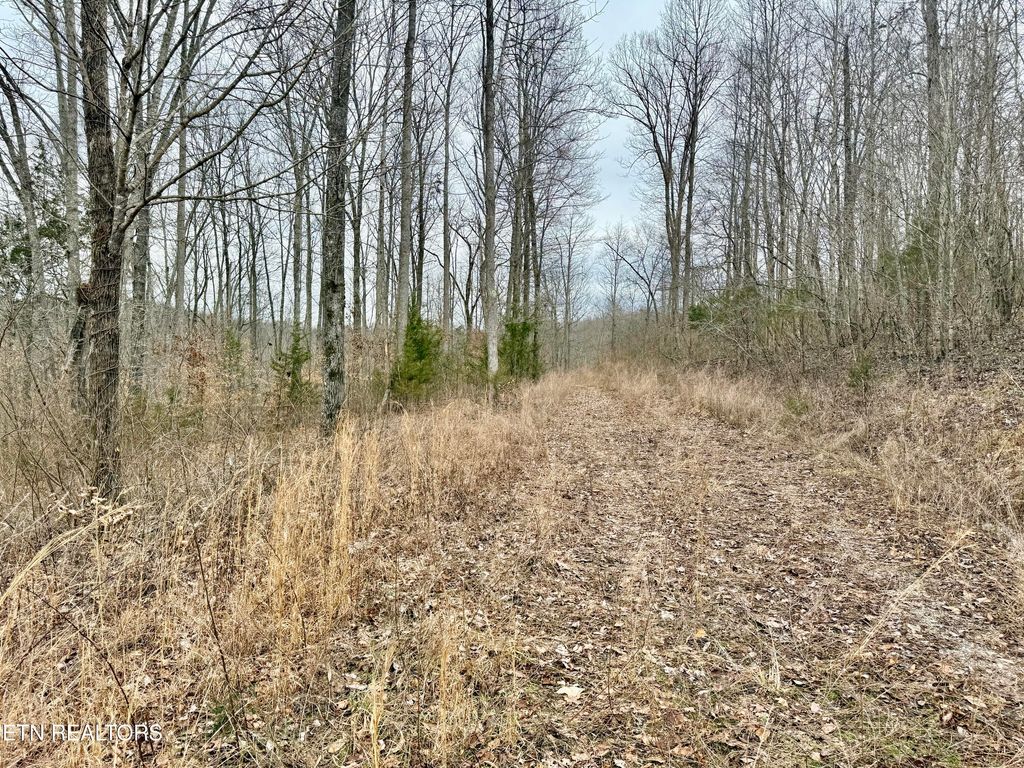 Photo of HARNESS Lane, Speedwell, TN 37870 (MLS # 1290886)