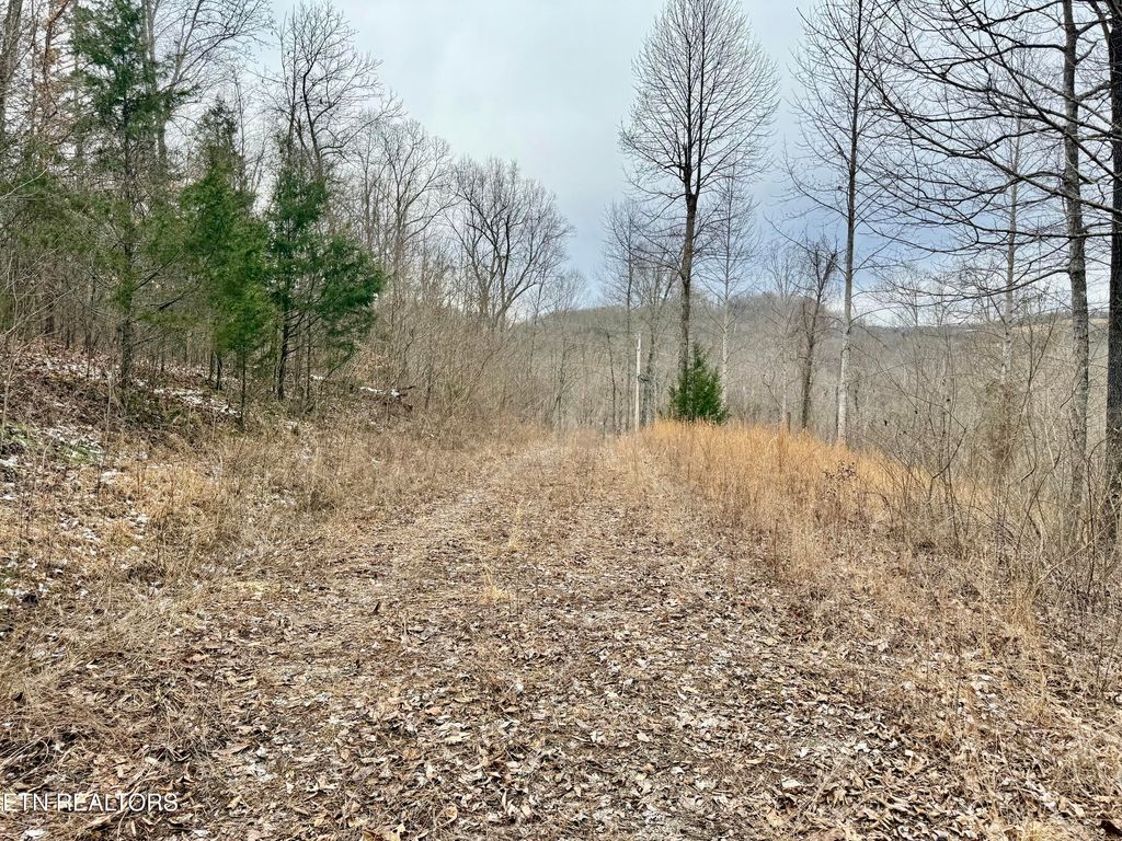 Photo of HARNESS Lane, Speedwell, TN 37870 (MLS # 1290886)