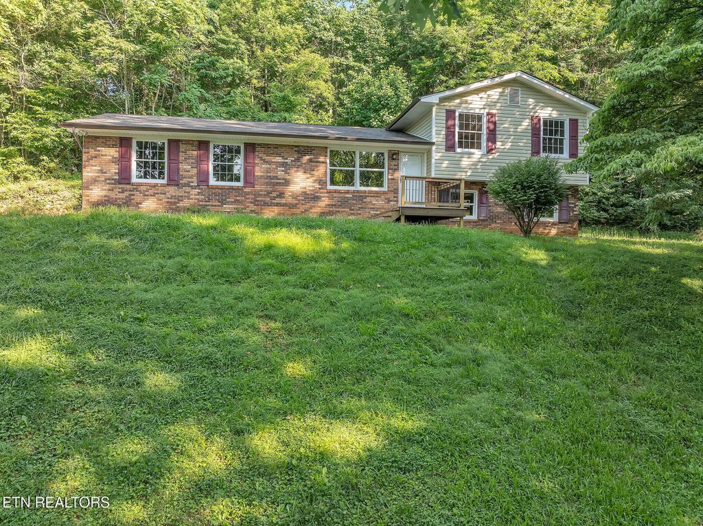Photo of 246 Robertson Lane, Caryville, TN 37714 (MLS # 1296463)
