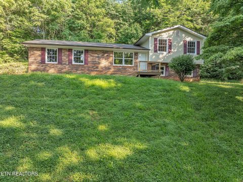 246 Robertson Lane Caryville TN 37714