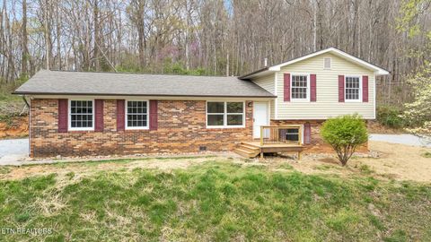 246 Robertson Lane Caryville TN 37714