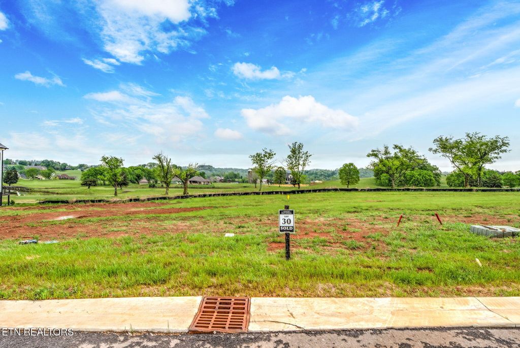 Photo of 827 Black Bear Circle, Loudon, TN 37774 (MLS # 1299427)