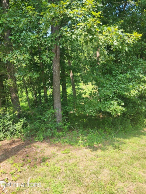 Tiny photo for 2255 Hubbard Rd, Loudon, TN 37774 (MLS # 1349851)