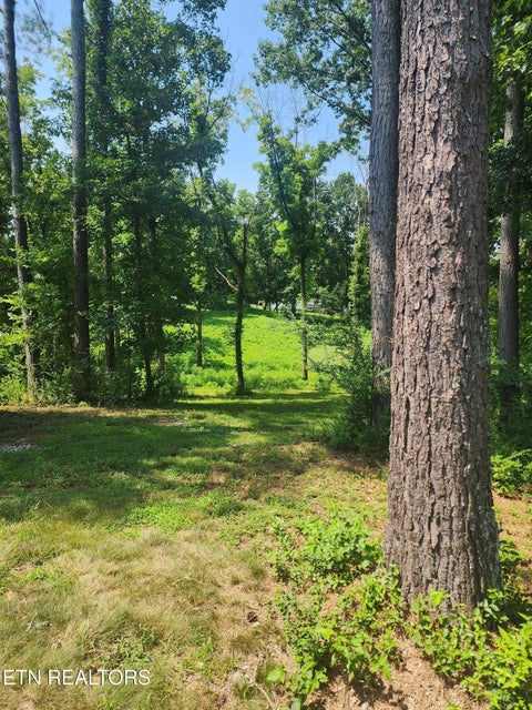 Photo of 2255 Hubbard Rd, Loudon, TN 37774 (MLS # 1349851)