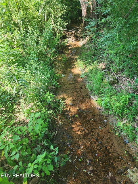 Tiny photo for 2255 Hubbard Rd, Loudon, TN 37774 (MLS # 1349851)