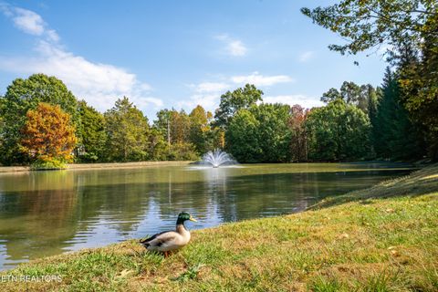 Tiny photo for 1313 Harrison Glen Lane, Knoxville, TN 37922 (MLS # 1319321)