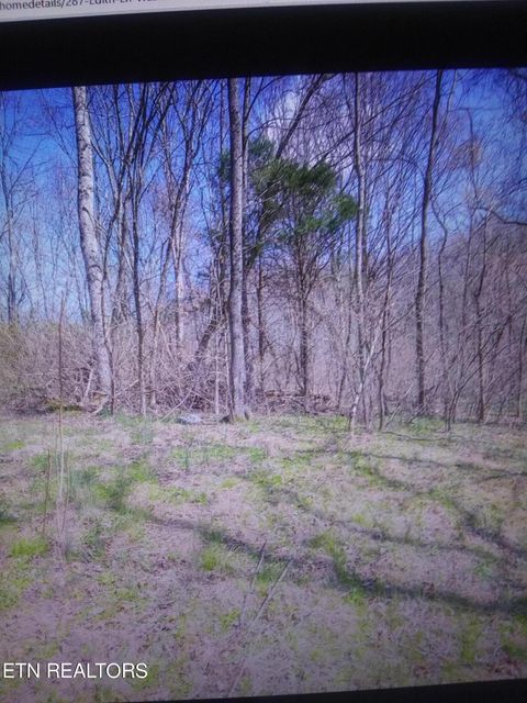 287 Edith Lane Washburn TN 37888