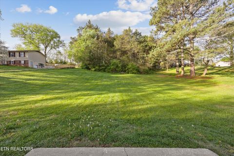 Tiny photo for 403 Old Dandridge Pike, Strawberry Plains, TN 37871 (MLS # 1335847)