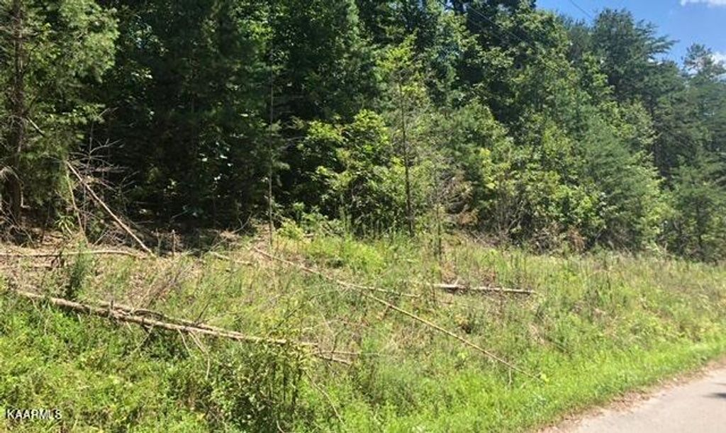 Photo of Peanut Lane, Tazewell, TN 37879 (MLS # 1202769)