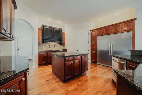 Tiny photo for 118 Luxury Lane, Dandridge, TN 37725 (MLS # 1321765)