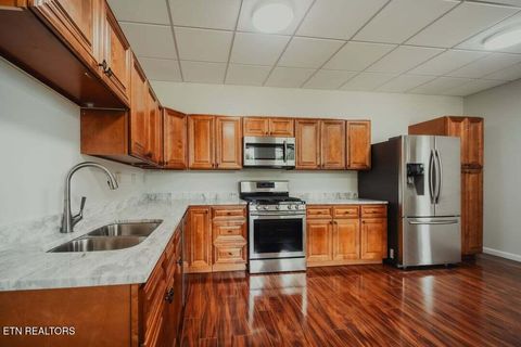 Tiny photo for 118 Luxury Lane, Dandridge, TN 37725 (MLS # 1321765)