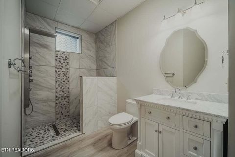 Tiny photo for 118 Luxury Lane, Dandridge, TN 37725 (MLS # 1321765)