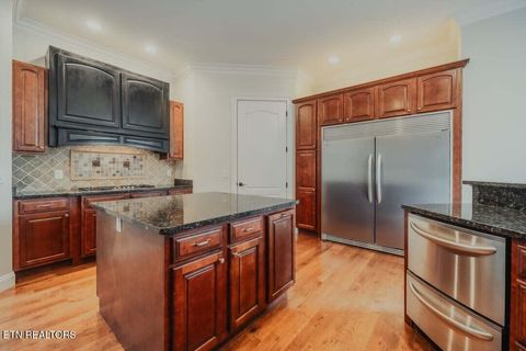 Tiny photo for 118 Luxury Lane, Dandridge, TN 37725 (MLS # 1321765)