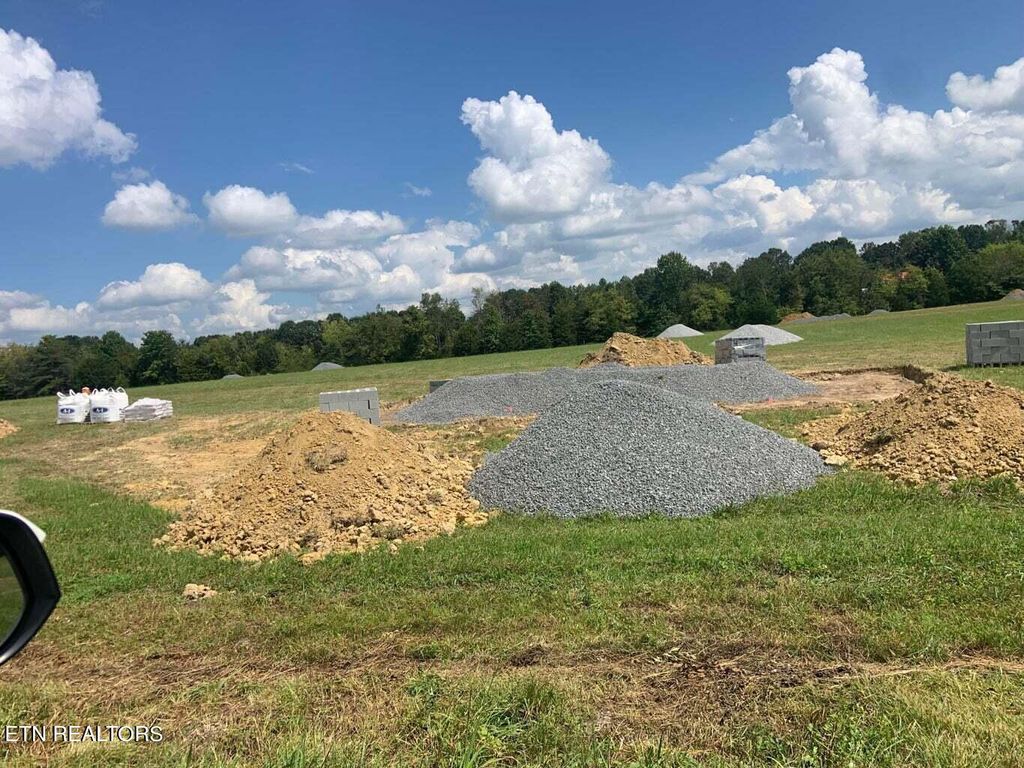 Photo of 8 Harrison Ferry, White Pine, TN 37890 (MLS # 1239665)