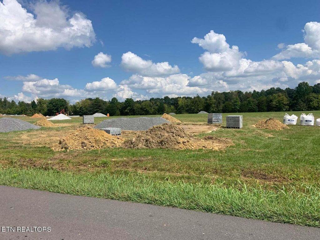 Photo of 8 Harrison Ferry, White Pine, TN 37890 (MLS # 1239665)