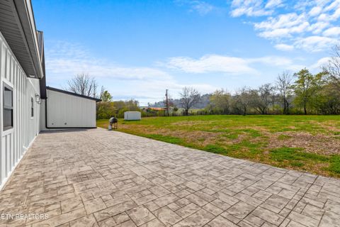 Tiny photo for 151 Clear Creek Rd, Newport, TN 37821 (MLS # 1334743)