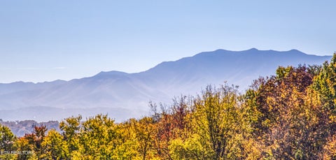 Tiny photo for 1138 Vista Drive, Sevierville, TN 37862 (MLS # 1360349)