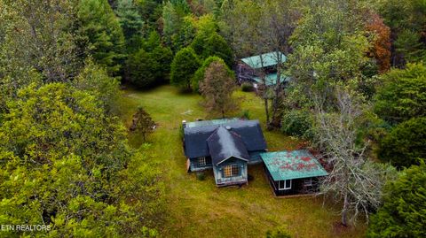 Tiny photo for Young Rd, Robbins, TN 37852 (MLS # 1317902)