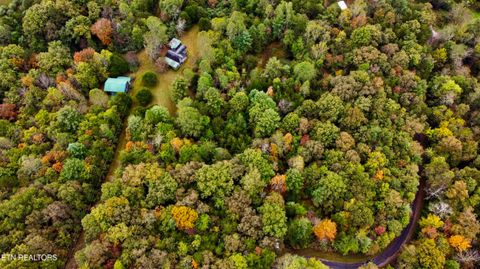Tiny photo for Young Rd, Robbins, TN 37852 (MLS # 1317902)