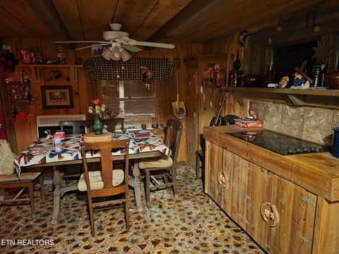 Tiny photo for Young Rd, Robbins, TN 37852 (MLS # 1317902)