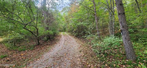 Tiny photo for Young Rd, Robbins, TN 37852 (MLS # 1317902)
