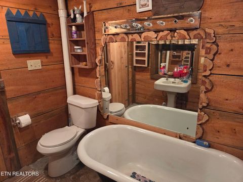 Tiny photo for Young Rd, Robbins, TN 37852 (MLS # 1317902)