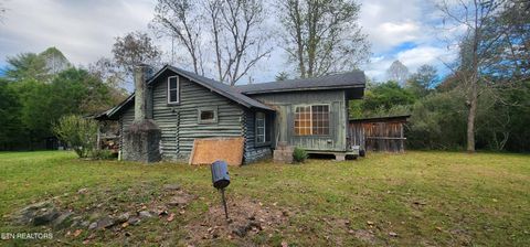 Tiny photo for Young Rd, Robbins, TN 37852 (MLS # 1317902)