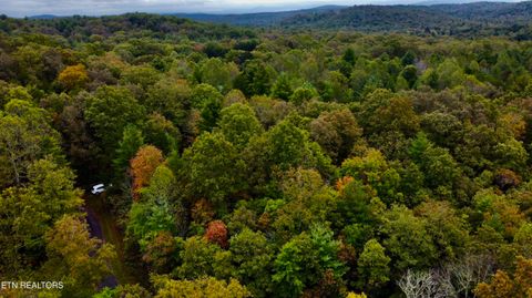 Tiny photo for Young Rd, Robbins, TN 37852 (MLS # 1317902)