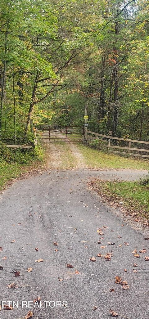 Tiny photo for Young Rd, Robbins, TN 37852 (MLS # 1317902)