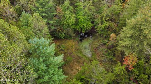 Tiny photo for Young Rd, Robbins, TN 37852 (MLS # 1317902)