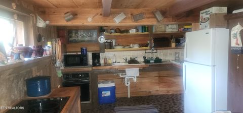 Tiny photo for Young Rd, Robbins, TN 37852 (MLS # 1317902)