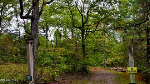 Tiny photo for Young Rd, Robbins, TN 37852 (MLS # 1317902)