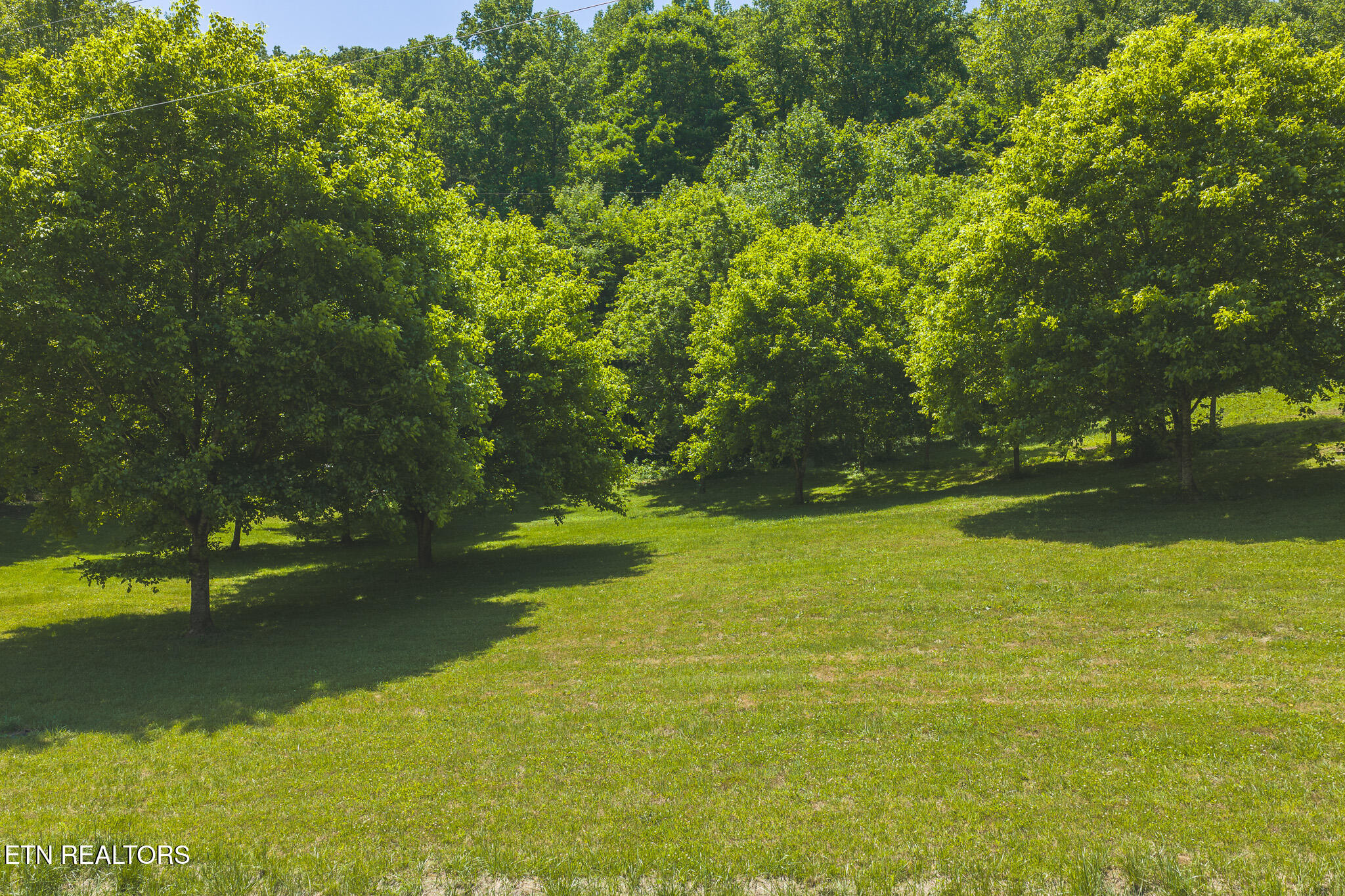 622 Earls Hollow Rd
