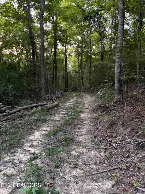 Tiny photo for 1302 Cummingsville/Sparkmantown Rd, Doyle, TN 38559 (MLS # 1345012)