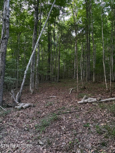 Tiny photo for 1302 Cummingsville/Sparkmantown Rd, Doyle, TN 38559 (MLS # 1345012)