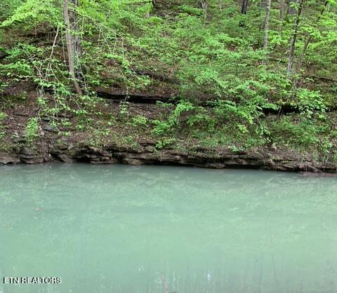 Tiny photo for 1302 Cummingsville/Sparkmantown Rd, Doyle, TN 38559 (MLS # 1345012)